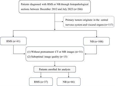 Evaluation of clinical and imaging features for differentiating rhabdomyosarcoma from neuroblastoma in pediatric soft tissue